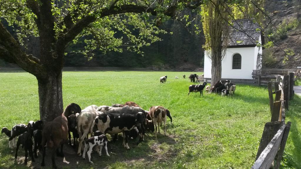 Haus Fiegl Oetz Exterior foto